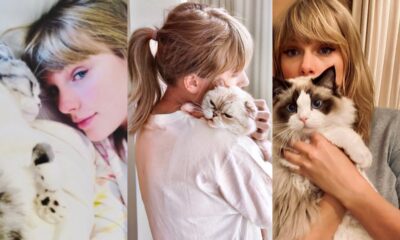 Taylor Swift stirs up drama by naming her new cat after her boyfriend, Travis Kelce, sparking criticism and Hatred