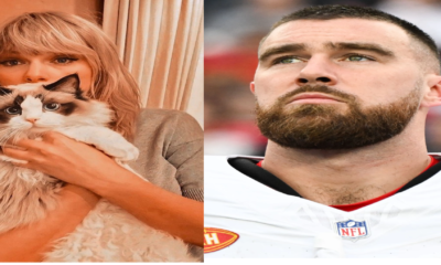 Taylor Swift creates a commotion by naming her new cat after her boyfriend, Travis Kelce, leading to lots of criticism and gossip in the celebrity world.