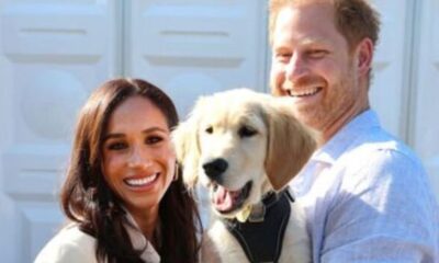 Royal Family Live Update : Prince Harry's 'real' reason for spilling royal secrets revealed...See More