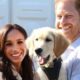 Royal Family Live Update : Prince Harry's 'real' reason for spilling royal secrets revealed...See More