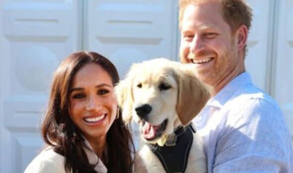 Royal Family Live Update : Prince Harry's 'real' reason for spilling royal secrets revealed...See More