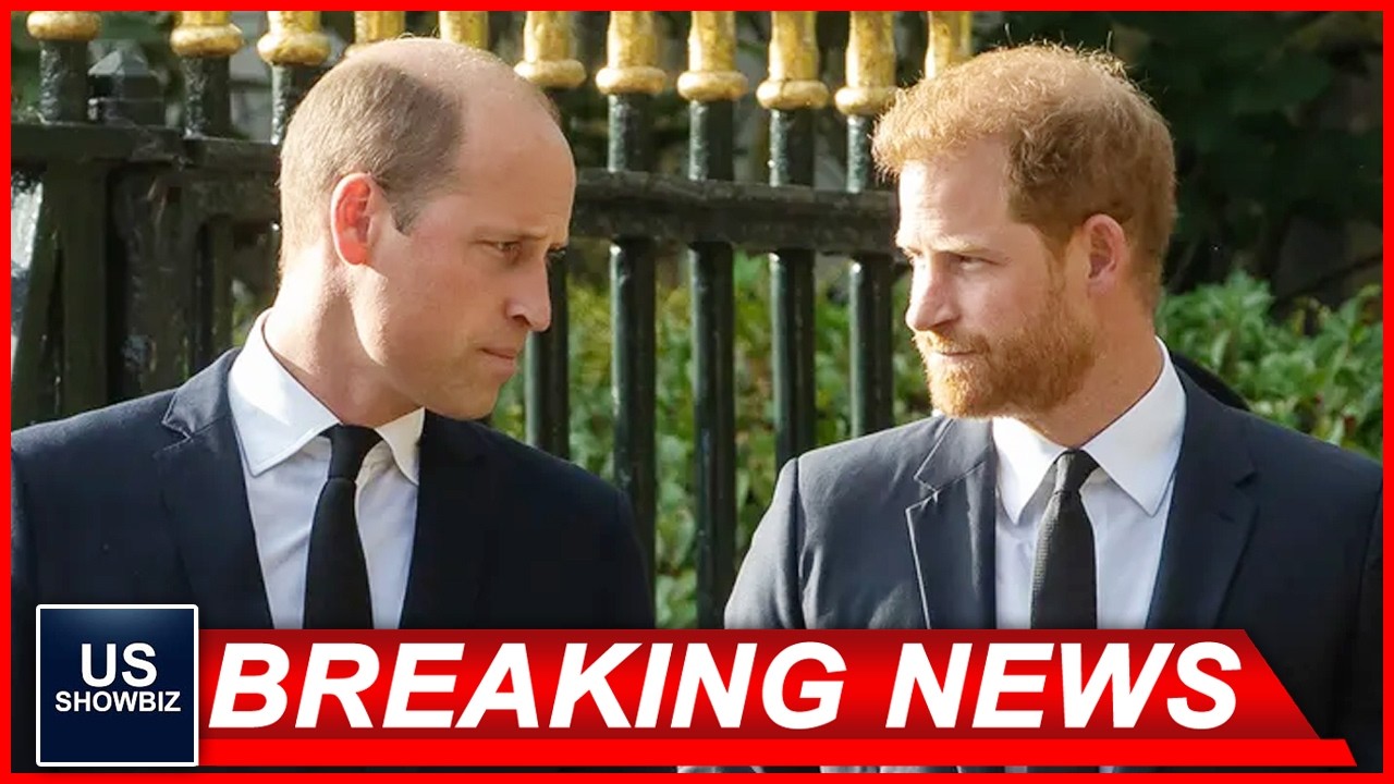 Breaking News: Prince William, Prince Harry feud could finally be resolved thanks to Princess Diana's family... Experts Review.