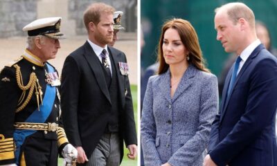 Breaking : Prince William, Kate ‘dutifully’ accept King’s succession plans for Harry…See More