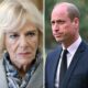 Breaking : Prince William ascended the throne as King Charles was hospitalized. He immediately expelled Camilla from the royal family, declaring, “You are the one who harmed my mother…”