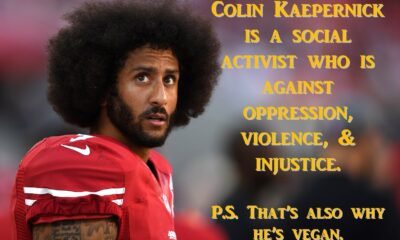 Exclusive: Colin Kaepernick Says He’ll Leave for Russia If He Doesn’t Get the Respect He Deserves in the U.S…See More