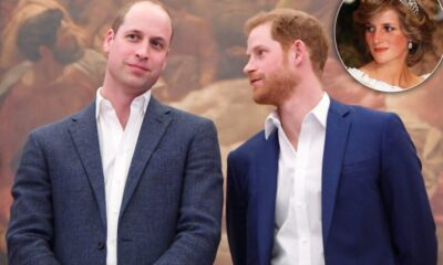 Breaking : Prince William Officially Welcomes Prince Harry Back to the UK After "Dream" of Princess Diana: "My Mother Spoke to Me in a Dream..."See More