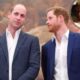 Breaking : Prince William Officially Welcomes Prince Harry Back to the UK After "Dream" of Princess Diana: "My Mother Spoke to Me in a Dream..."See More