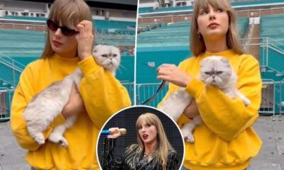 Breaking: Taylor Swift holds onto her CAT Olivia as she pulled off her black sunglasses slowly and looked around the Hard Rock Stadium in Miami, Florida...See More