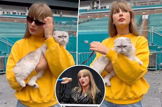 Breaking: Taylor Swift holds onto her CAT Olivia as she pulled off her black sunglasses slowly and looked around the Hard Rock Stadium in Miami, Florida...See More