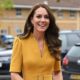 Royal Family live Update: Kate Middleton gets approval from royals to divorce prince… full story below