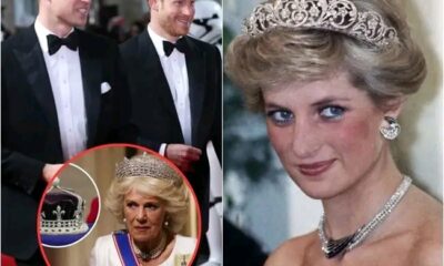 Breaking News: Prince Harry shares his reason for returning to England: "My brother William has ascended to the throne, expelled Camilla from the palace, and uncovered that the one responsible for harming our mother, Diana, is..." See more below