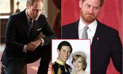 Breaking News: "I know who harmed our mother, Diana, but I cannot say..." — Prince William kneels and asks Harry for forgiveness, revealing a truth that leaves the entire nation enraged. See More