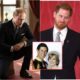 Breaking News: "I know who harmed our mother, Diana, but I cannot say..." — Prince William kneels and asks Harry for forgiveness, revealing a truth that leaves the entire nation enraged. See More