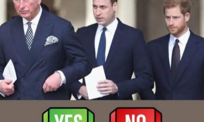 "A Royal Dilemma: Will King Charles and Prince William Extend an Olive Branch Of Forgiveness to Prince Harry? Cast Your Vote Now and Uncover the Drama!"...