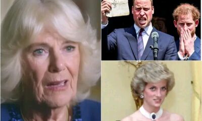 HEART-WRENCHING BOMBSHELL : Princess Diana's Lost Letter To Hear Two Prince "William And Harry" Exposed! Nation In Years As Queen Camilla's Reaction Revealed: "She Wept After Reading Princess Diana's Haunting Words"...See More Details Below