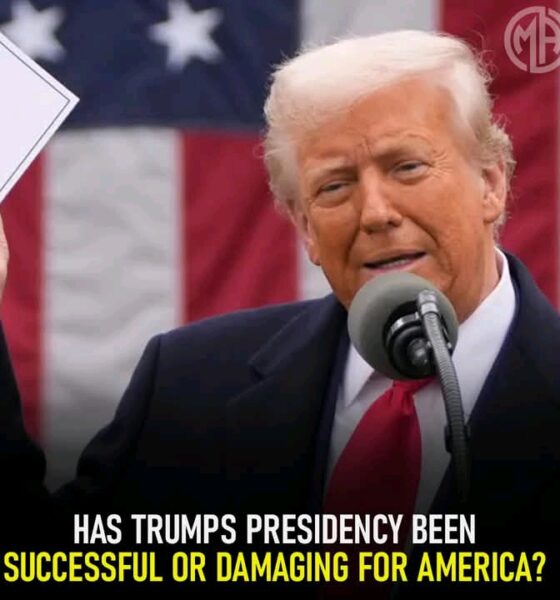 Has Donald Trump's Presidency Been Successful Or Damaging For America?