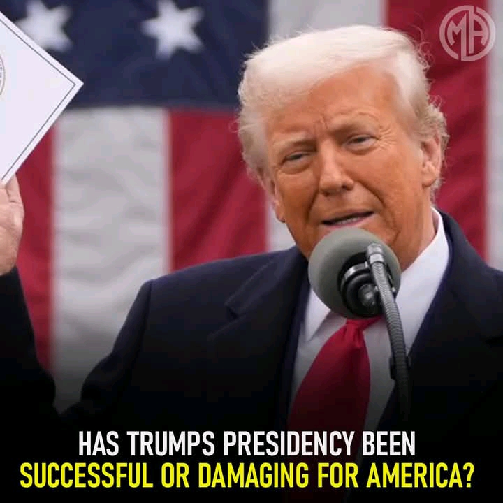 Has Donald Trump's Presidency Been Successful Or Damaging For America?