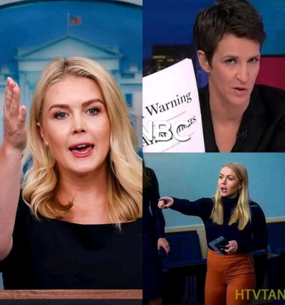 SHOCKING SHOWDOWN: Karoline Leavitt Goes Head-to-Head with Rachel Maddow—”How Could You Be So Stupid?”
