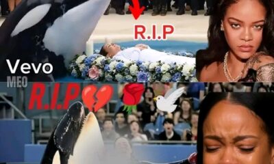 Rihanna SHAKES the World: Reveals Why Trainer Jessica Radcliffe Was K!lled by Her Own Killer Whale – The Terrifying Truth Behind the Death That Gave Everyone Chills! ..