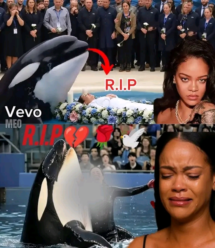 Rihanna SHAKES the World: Reveals Why Trainer Jessica Radcliffe Was K!lled by Her Own Killer Whale – The Terrifying Truth Behind the Death That Gave Everyone Chills! ..