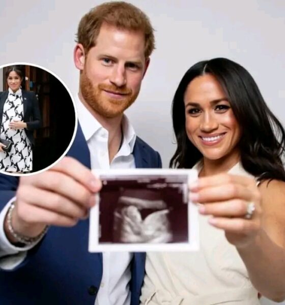 Royal Baby Shocker! Meghan Markle Drops Bombshell Ultrasound Reveal – "It's A...!" Third Sussex Heir To Shake Monarchy. In An Exclusive Revelation, Meghan Reveals: 'The Palace Knew. They Tried To Stop Us. But This Child Will Change Everything....