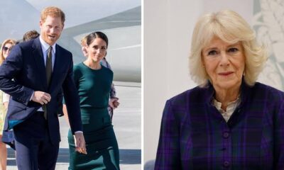ROYAL TENSION PERSIST : Prince Harry is a wolf in sheep’s clothing Queen Camilla strongly against the Duke’s return to Royal Family….. He’d be wise to stay far away from Camilla….. See more